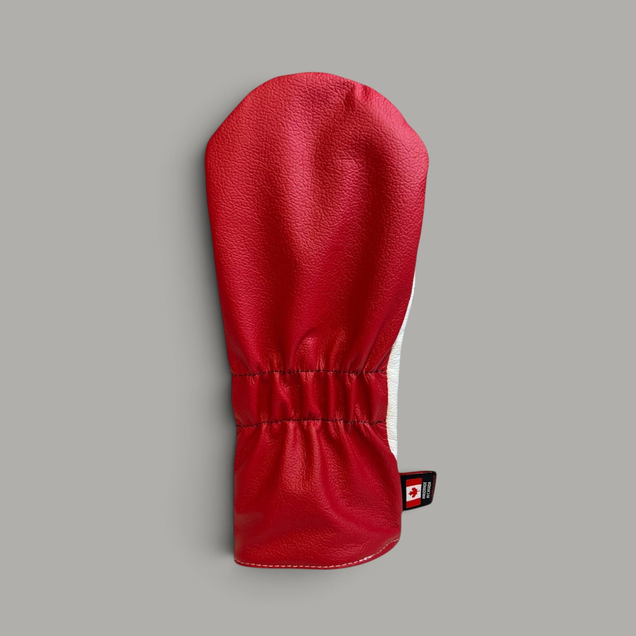 Jordan 1 High Top Shoe Driver Cover
