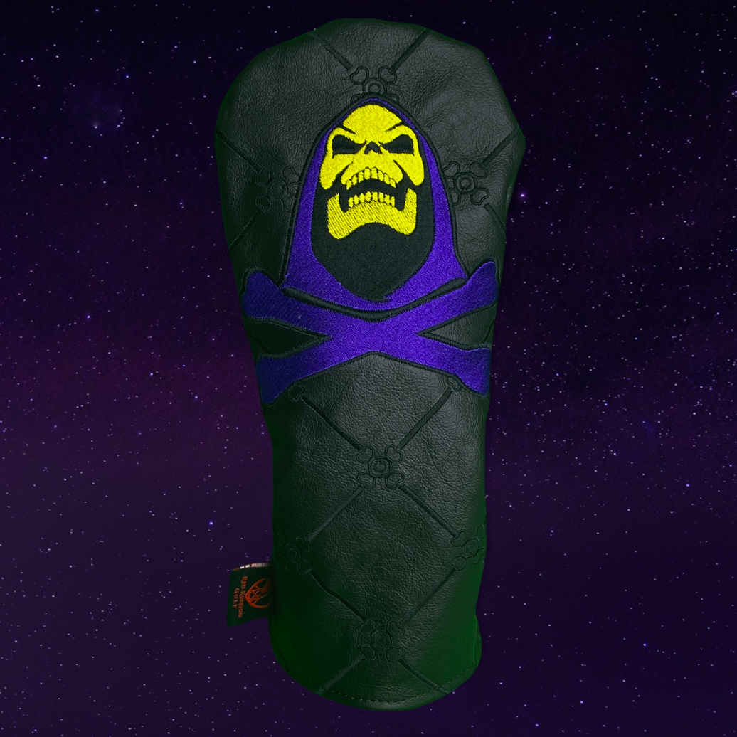 Skeletor Lord of Destruction Cover