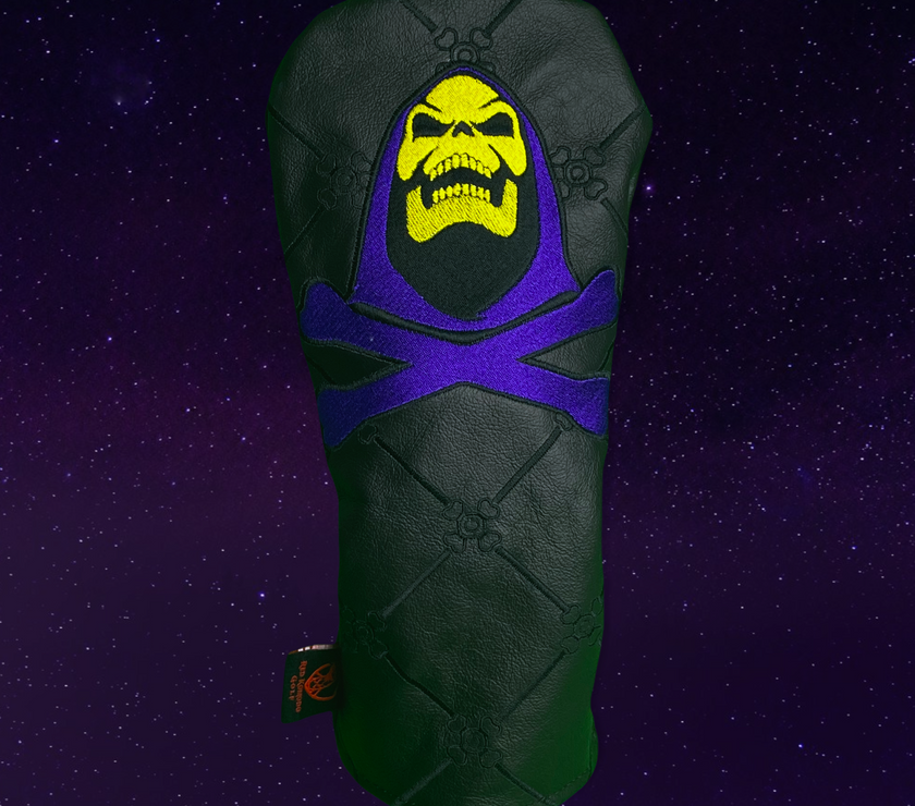 Skeletor Lord of Destruction Cover