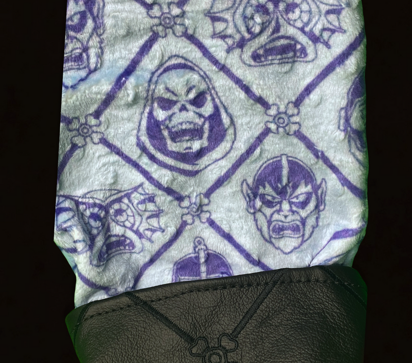 Skeletor Lord of Destruction Cover