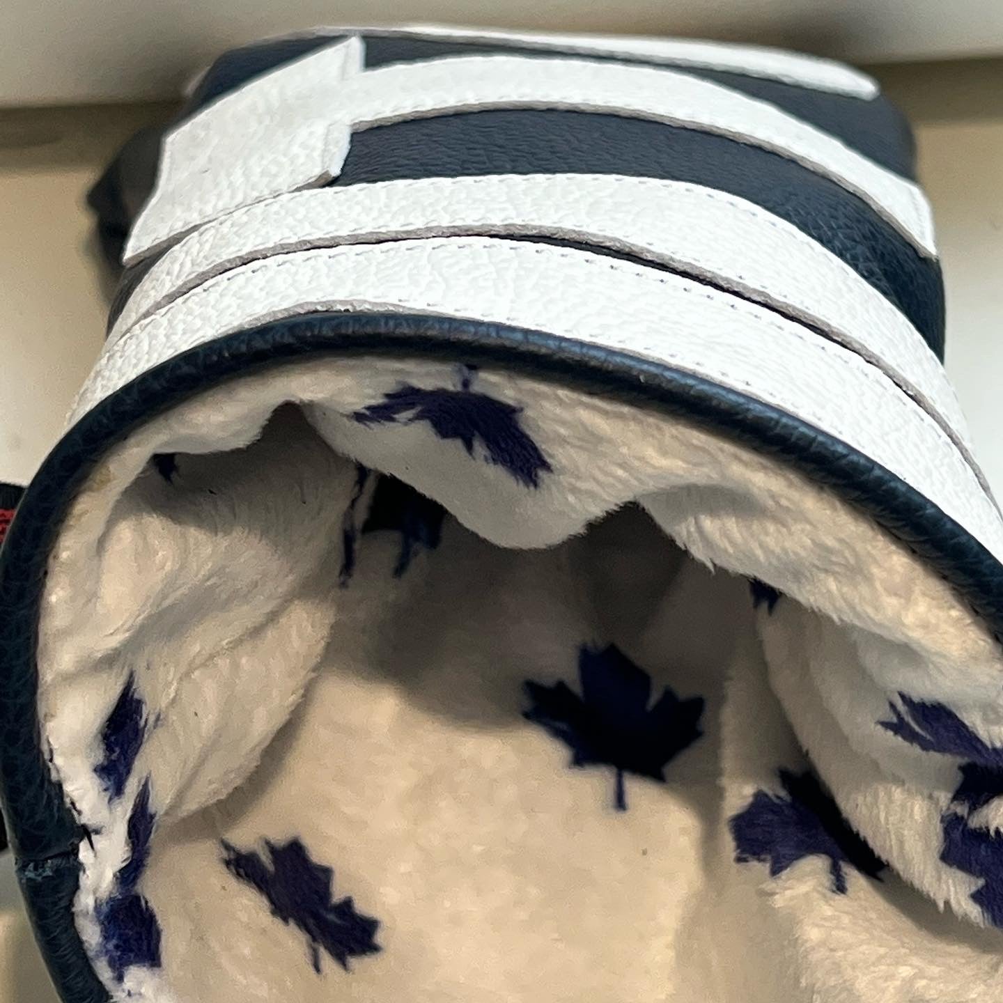 Toronto Blue and White Cover